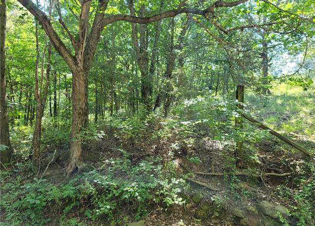 Property at 156 Pinehaven Dr, Winslow, AR 72959
