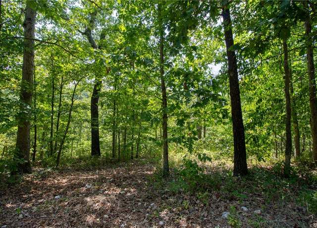 Property at 14600 Canyon Rd, Bella Vista, AR 72715