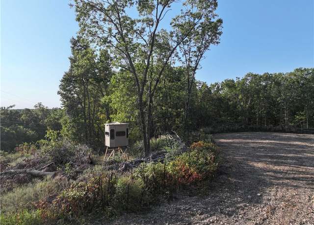 Property at TBD Tract 3 Old 60 Dr, Seneca Mo, MO 64865