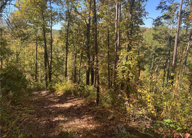 Property at Spider Crk, Jasper, AR 72641