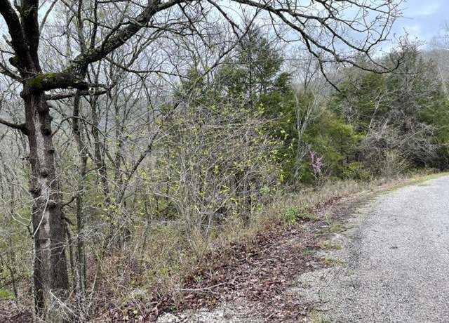 Property at 36 Starlite Ave, Holiday Island, AR 72631