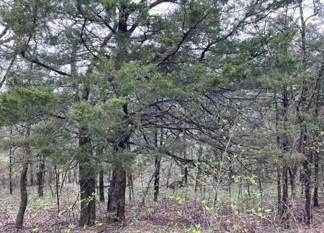 Property at 50 Starlite Ave, Holiday Island, AR 72631