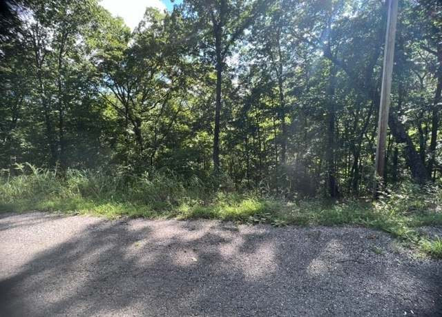 Property at 39 Wildcat Ln, Holiday Island, AR 72631