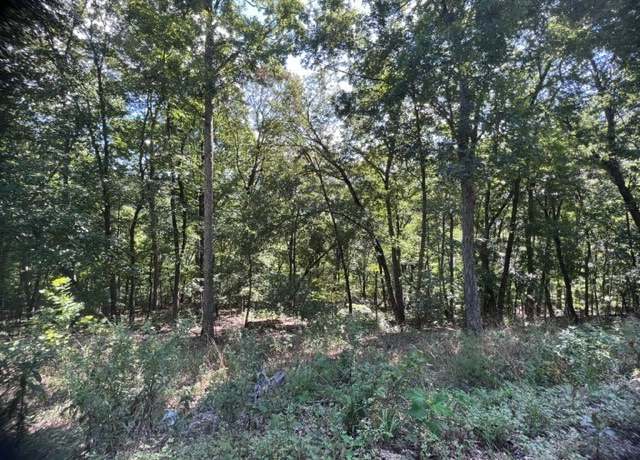 Property at 31 Wildcat Ln, Holiday Island, AR 72631