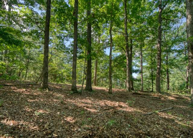 Property at Windsong Ln, Eureka Springs, AR 72631