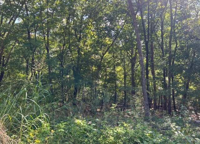 Property at 29 Wildcat Ln, Holiday Island, AR 72631