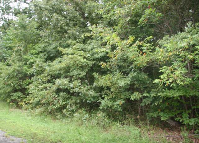 Property at Lot 13 Lela - Lot 13 Ct, Harrison, AR 72601