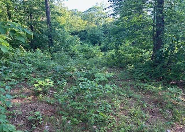 Property at 922 Cr 5590, Ozone, AR 72854