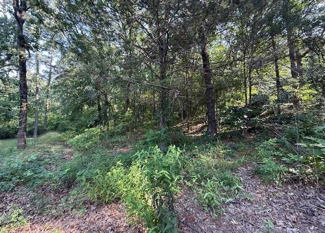 Property at Needles Ct, Dardanelle, AR 72834