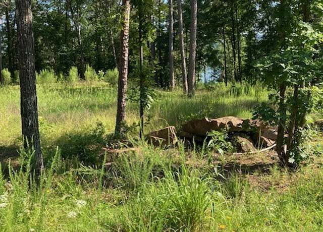 Property at 149 Woodland Shrs, Clinton, AR 72031