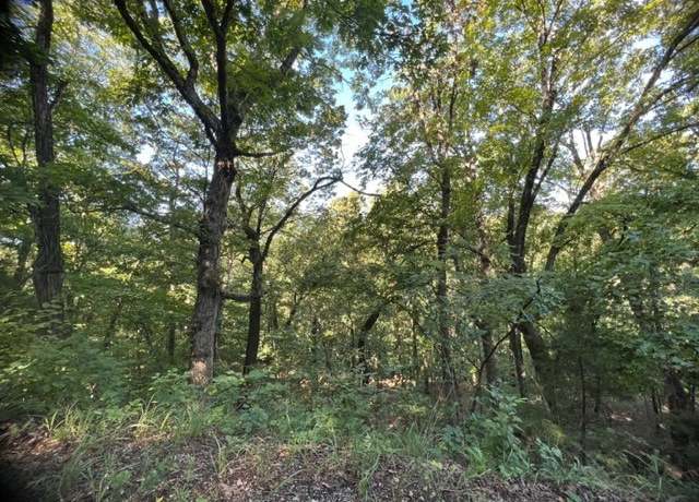 Property at 39 Thunderbird Dr, Holiday Island, AR 72631