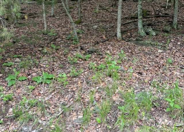 Property at Dogwood Dr, Garfield, AR 72732