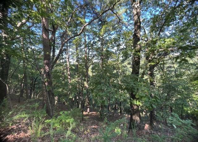 Property at 33 Thunderbird Dr, Holiday Island, AR 72631