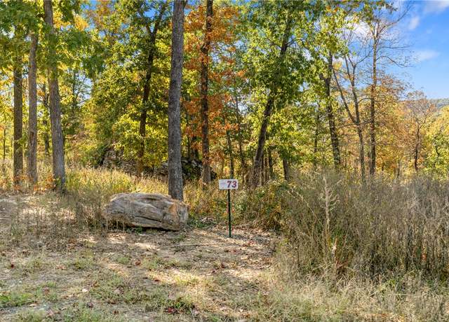 Property at Lot 73 Restore Rdg, Harrison, AR 72601