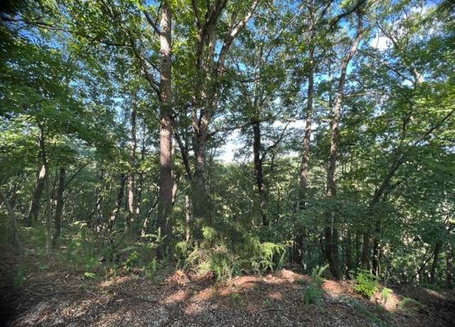 Property at 31 Thunderbird Dr, Holiday Island, AR 72631