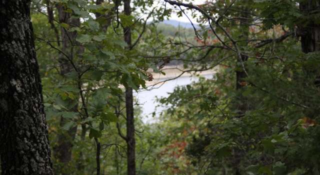 Photo of Lot 42 Webb's Landing Ln, Yellville, AR 72687