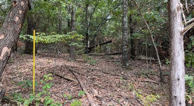 Photo of TBD Daisy Ln, Lowell, AR 72745