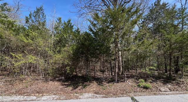 Photo of TBD Larchwood Dr, Diamond City, AR 72644