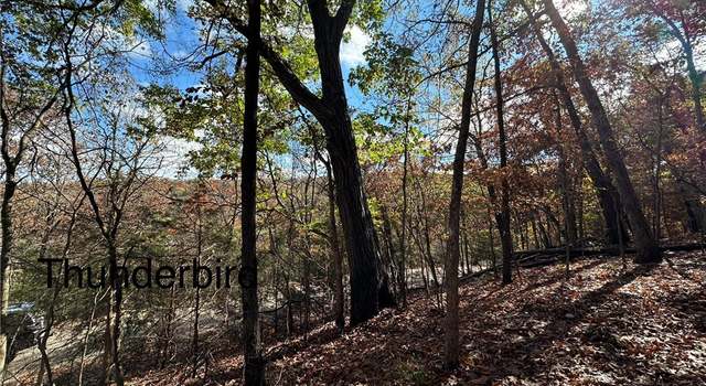 Photo of Lot 13 Thunderbird Dr, Holiday Island, AR 72631