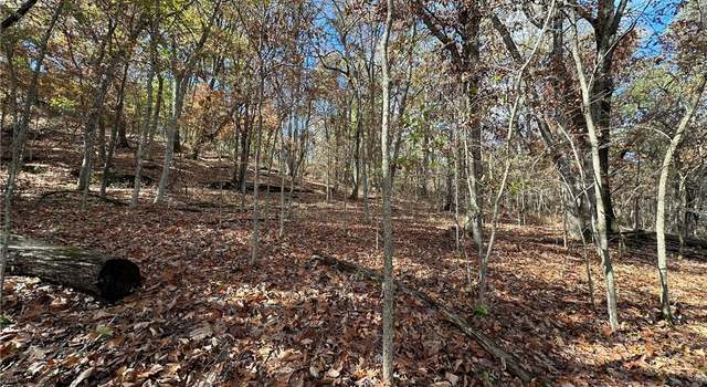Photo of Lot 13 Thunderbird Dr, Holiday Island, AR 72631