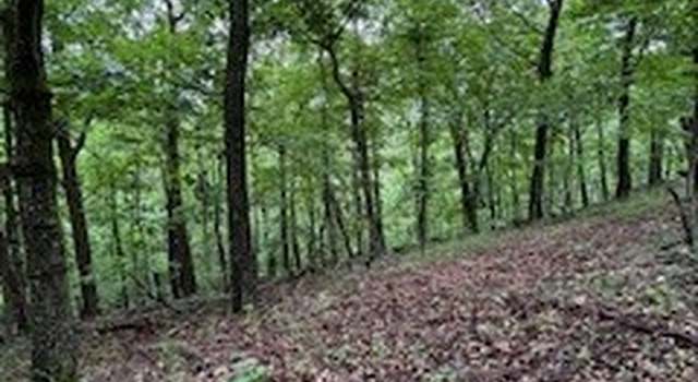 Photo of Summit Dr, Holiday Island, AR 72631