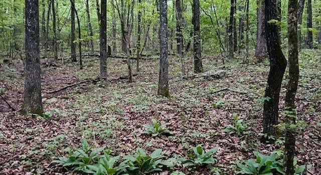 Photo of Tract E Madison Cr 5450, Elkins, AR 72727
