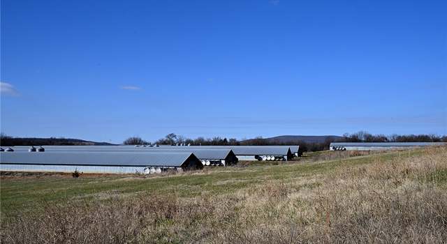 Photo of 17790 Hale Mountain Rd, Canehill, AR 72717