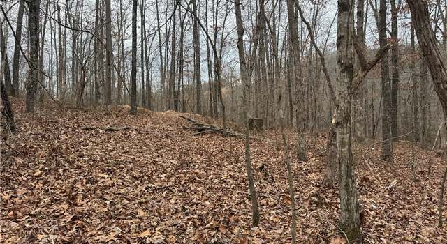 Photo of 25401 Ar 123 Hwy, Hasty, AR 72640