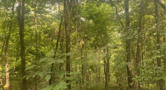 Photo of 1818 Madison 4805, Pettigrew, AR 72752