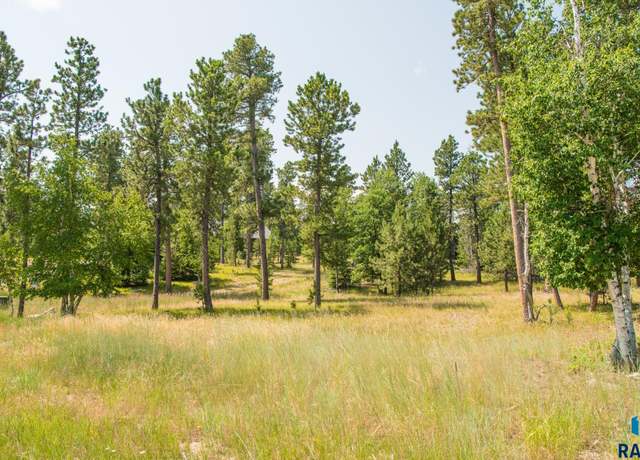 Property at TBD Rubys Way, Lead, SD 57754