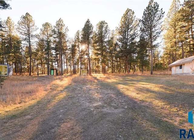 Property at 25741 Dakota Sur Dr, Custer, SD 57730