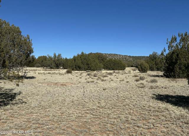Property at 932 NW Thirsty Burro, Seligman, AZ 86337