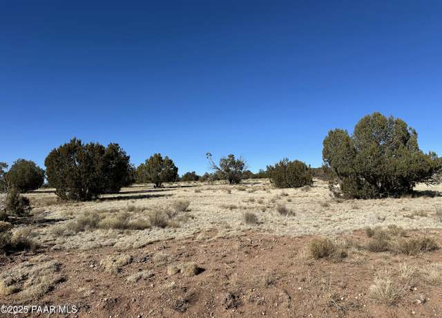 Property at 932 SW Thirsty Burro, Seligman, AZ 86337