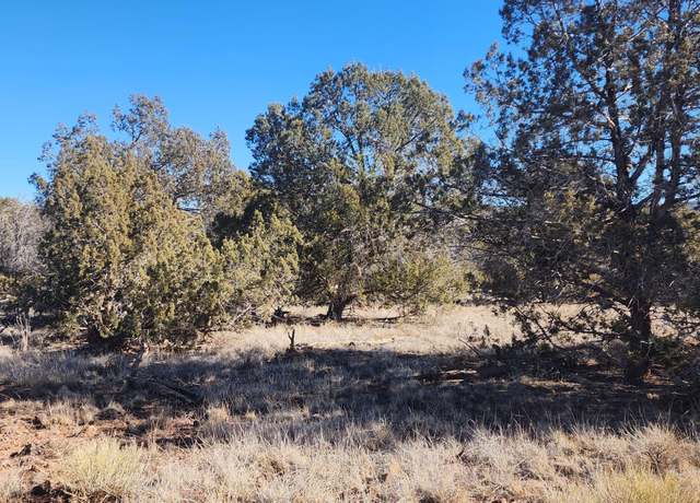 Property at 2113 W Skyline Dr, Ash Fork, AZ 86320