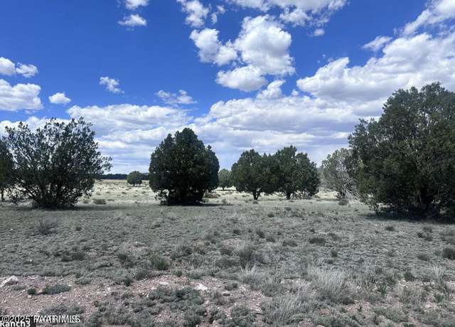 Property at 42 Trout Creek Trl, Seligman, AZ 86337