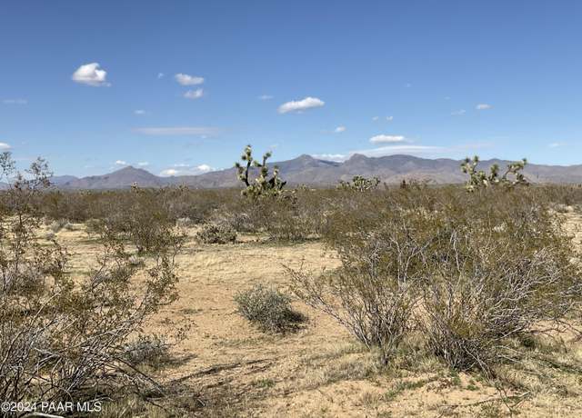 Property at Tbe E Red Barrel Dr, Yucca, AZ 86438