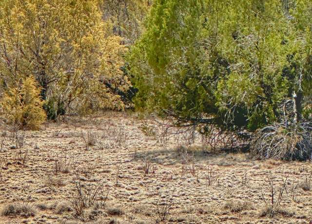 Property at 01 Skedaddle, Seligman, AZ 86337