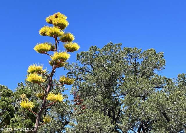 Property at 331 Off Of Big Vw, Ash Fork, AZ 86320