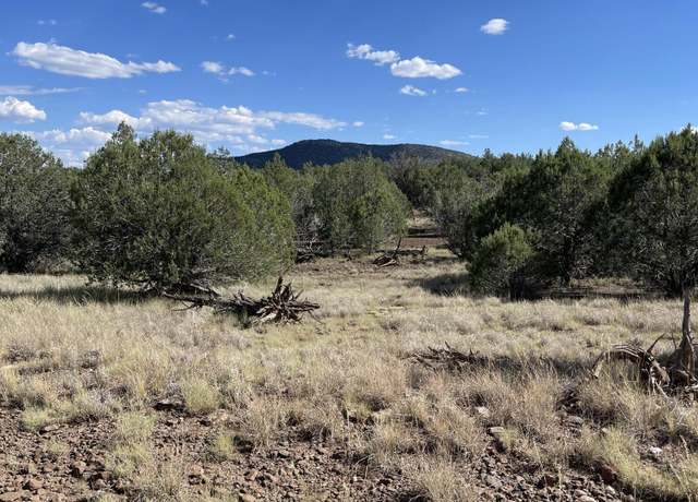 Property at Ls49/74-49 Fort Rock Rd, Seligman, AZ 86337
