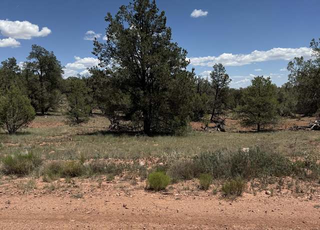 Property at 56045 Mesa Pkwy, Seligman, AZ 86337