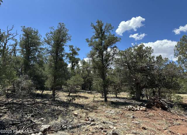 Property at 1035c W Whiskey River Rd, Seligman, AZ 86337