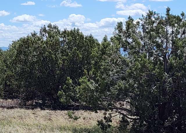 Property at 12b Juniperwood Rnch, Ash Fork, AZ 86320