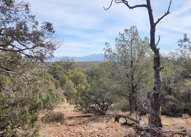 Property at S2 Lot 92 Off Indian Spgs, Ash Fork, AZ 86320