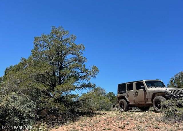 Property at 307 Off Of Old Deputy Shortline, Ash Fork, AZ 86320