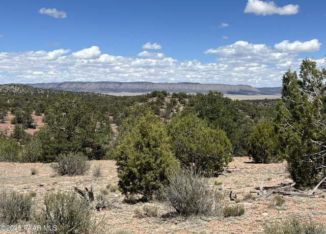 Property at 325 Off Of Dusty Rose Ranch Rd, Seligman, AZ 86337