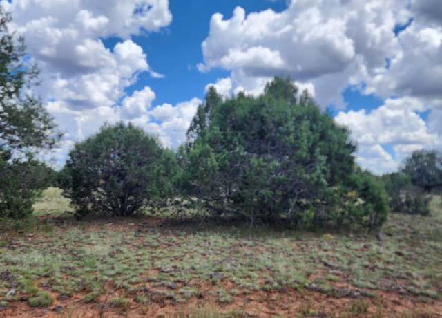 Property at 262 Off Noseeum, Williams, AZ 86046