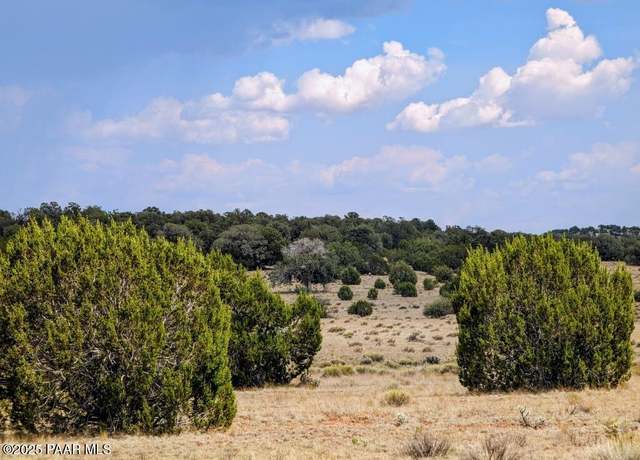 Property at 1115 N Jackpot Ranch Rd, Seligman, AZ 86337