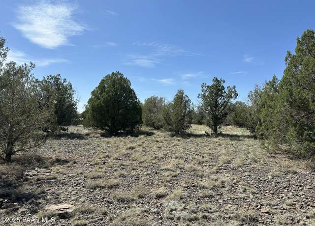 Property at 124 Dry Gulch, Seligman, AZ 86337