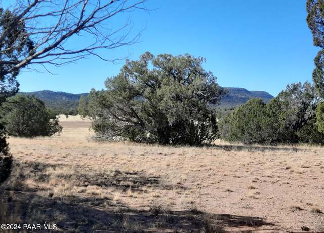 Property at 54214 N Castano Rd, Seligman, AZ 86337