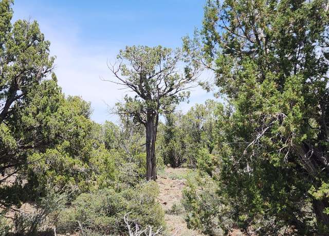 Property at 7980b Ancient Way, Seligman, AZ 86337